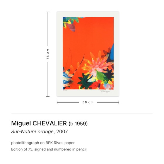 Miguel Chevalier Signed Lithograph Sur-Nature Orange 2007 – Lithographs & prints, Paper (photo 3 of 5)