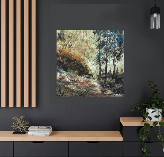 Image 1 of Winter light in the wood