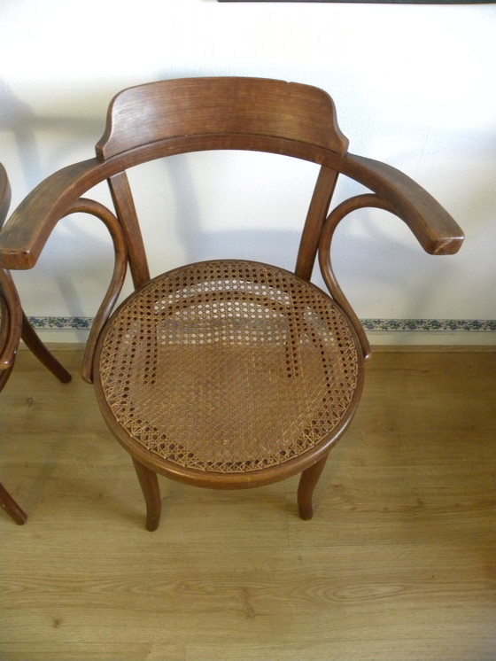Image 1 of Thonet - 2x Sedia da ufficio Poltrona n. 3