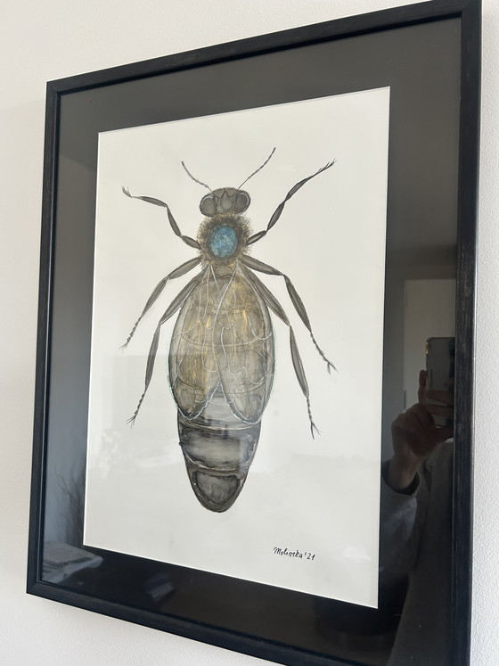 Image 1 of Originele "Macro-entomologie"-studies van Natalia Molinska (2021)

