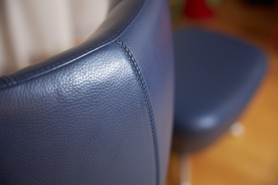 Image 1 of Leolux caruzzo