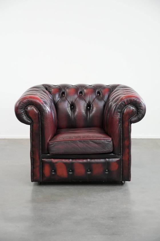 Image 1 of Englischer Chesterfield-Ledersessel auf Rollen, verziert mit Ziernieten