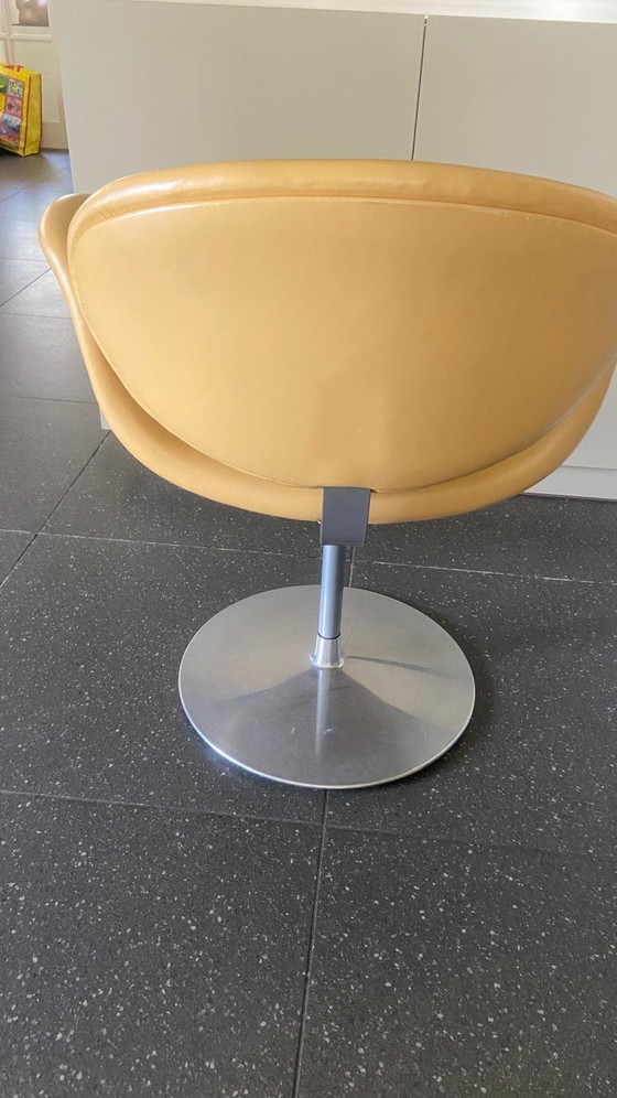 Image 1 of Fauteuil tulipe en cuir Artifort