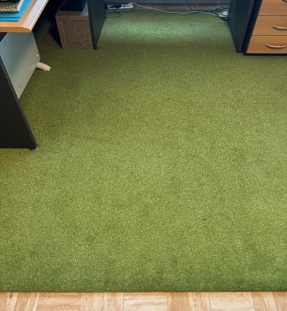 Image 1 of Low pile rug green