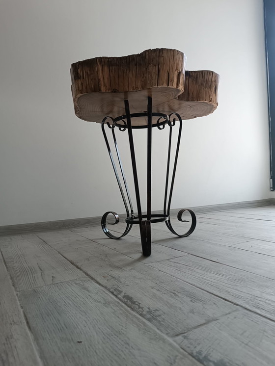 Image 1 of Timber Reverie – Lo spirito dell'antica acacia