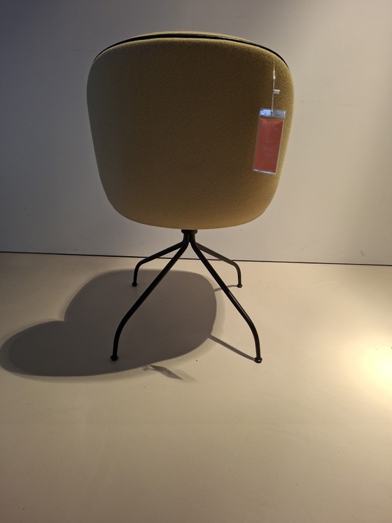 Image 1 of Scarabeo Gubi