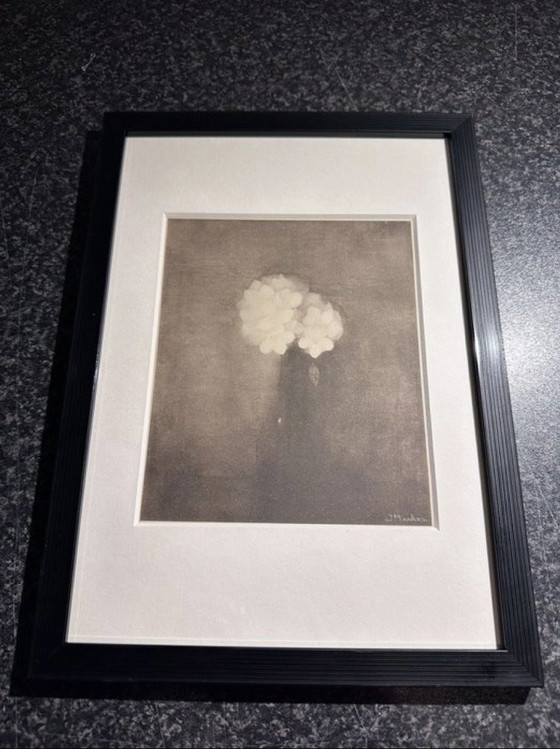 Image 1 of Jan Mankes 1889-1920 / Originele Heliogravure Vaas met Jasmijn 1923