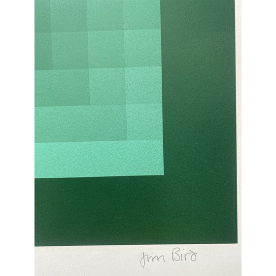 Image 1 of Vintage "tribute to Vasarely" lithograph by Jim Bird, 1970