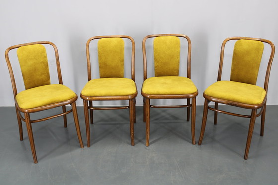 Image 1 of Juego de cuatro sillas de comedor de madera curvada de haya restauradas de la década de 1970, de TON, Checoslovaquia