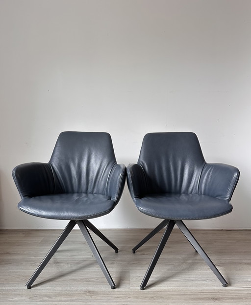 4x Bert Plantagie Maple Design Chairs