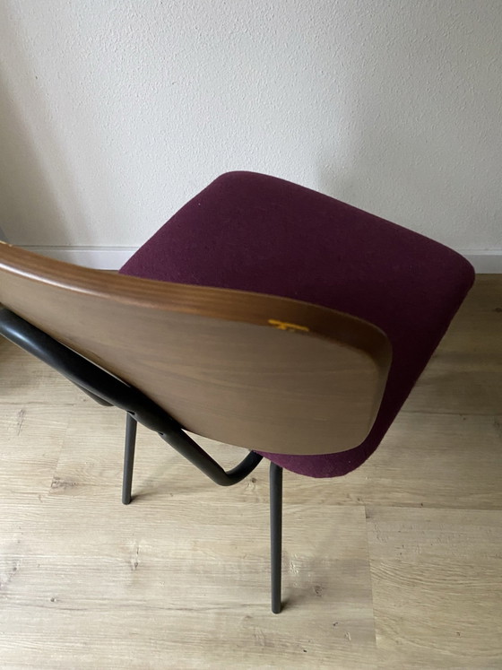 Sedia Vintage Mid-Century, Rivestita di fresco con 100% Feltro di Lana, Sedie da pranzo, Metallo, Viola (foto 5 di 10)