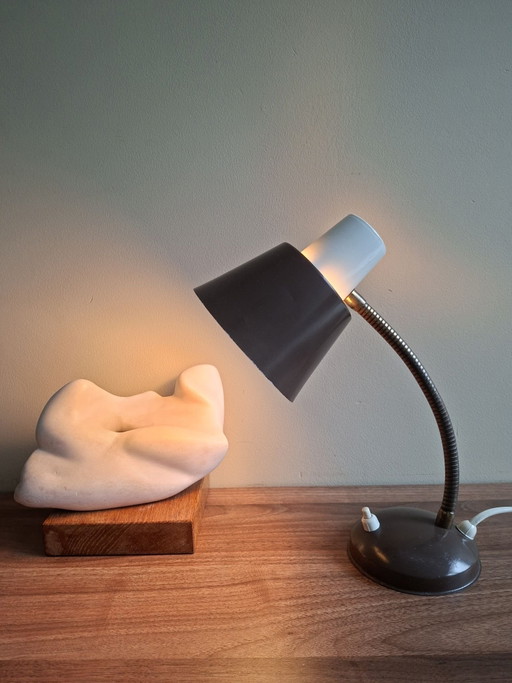 Hala Zeist Vintage Lamp H. Busquet