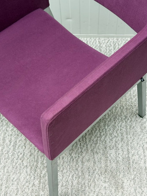 5x Studio Parade Lente B&B Purple – Spectrum, Armchairs, Other (photo 9 of 11)