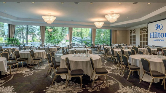 Image 1 of Grande lampadario degli anni '60 dell'iconico Hilton Hotel di Amsterdam attribuito a Seguso