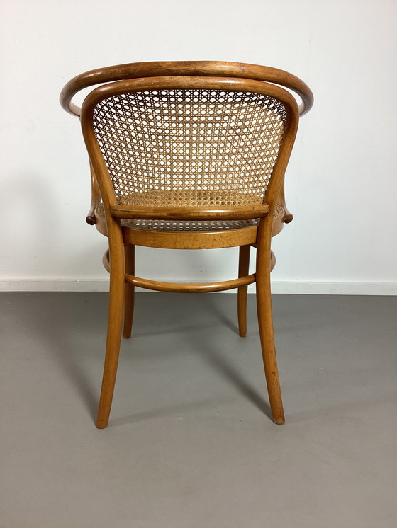 Image 1 of Sedia Vintage 210 in rattan e legno curvato