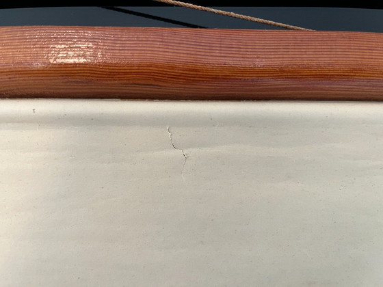 Image 1 of Zoological poster, animal body cell