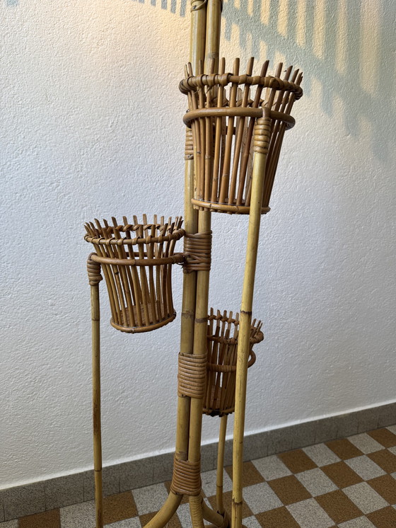 Image 1 of Lámpara de pie con soporte para plantas de ratán de los años 50