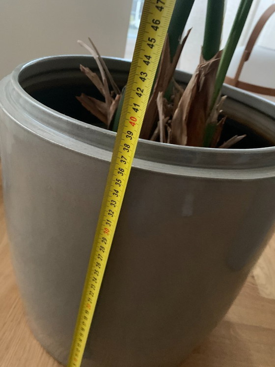 Image 1 of Set of 2 Serax indoor decorative pots