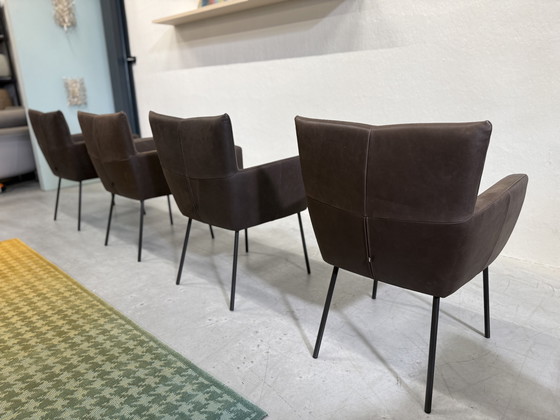 Image 1 of 4 Design on Stock Sedie da pranzo Moka in pelle Cabo Marron