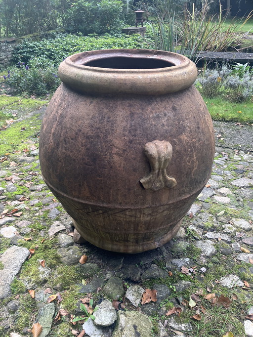 Terracotta olijfpot