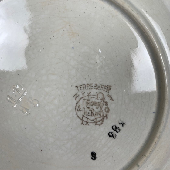 Image 1 of Set di 2 piatti da collezione Choisy le Roi, Ironstone, motivo floreale, fine XIX secolo