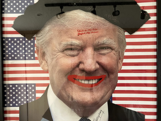 Image 1 of “Trump” Jan Bucquoy- Museo del deslizamiento - 2016