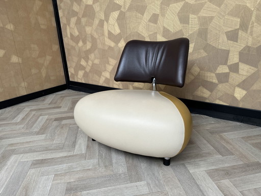 Leolox pallone fauteuil