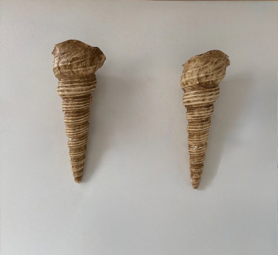 Image 1 of Coppia di applique da parete vintage a forma di conchiglia, in fibra di vetro beige, Francia 1960