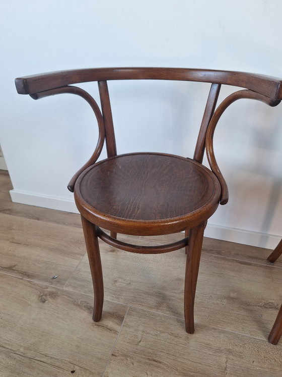 Image 1 of Chaises Thonet Cosmos