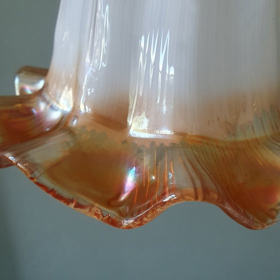 Set of Vintage Glass Pendant Lights. Floral / Flower-shaped Glass – Pendant lamps, Metal (photo 12 of 24)