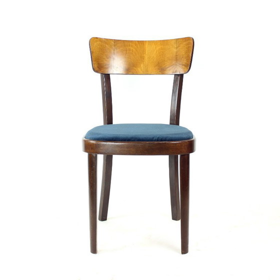 Image 1 of Ensemble de quatre chaises de salle à manger Tatra, Tchécoslovaquie, années 1950