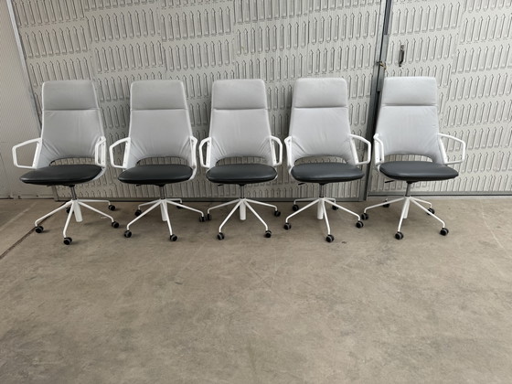 Image 1 of 6x Artifort Zuma Design Patrick Norguet