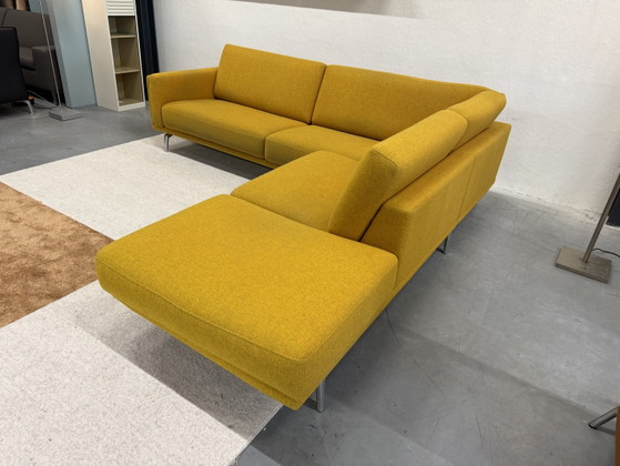 Leolux Bellice Hoekbank Stof Geel 270x260 – Hoekbanken, Wool (photo 7 of 15)