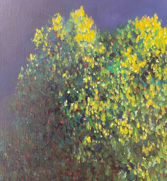 Nightly Chestnut – Schilderijen & Tekeningen, Canvas (photo 4 of 5)