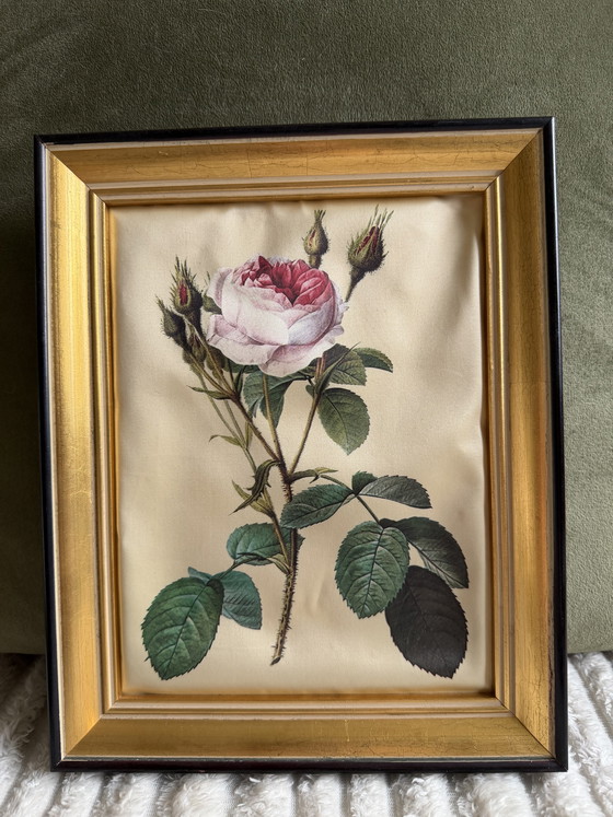 Image 1 of Peintures sur soie encadrées Style Redouté 25x20
