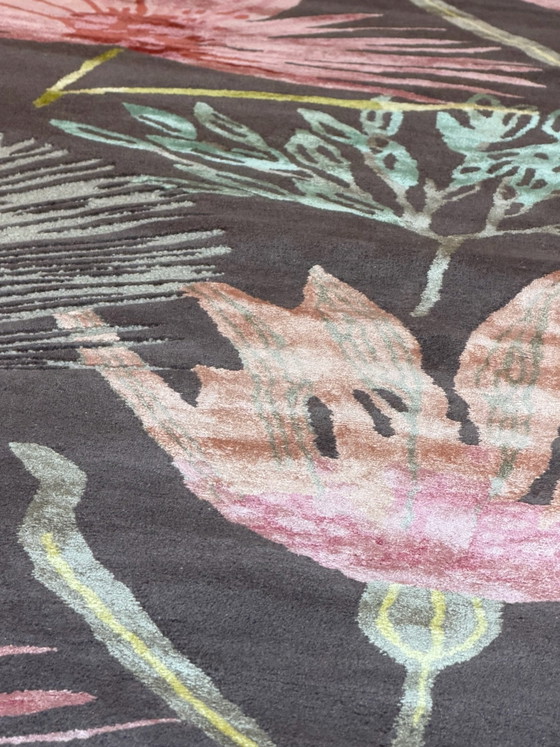 Brink en Campman Harlequin Yasuni Cerise 250 x 350 NEW, Brink & Campman, Rugs & carpets, Wool, Multi Color (photo 3 of 10)