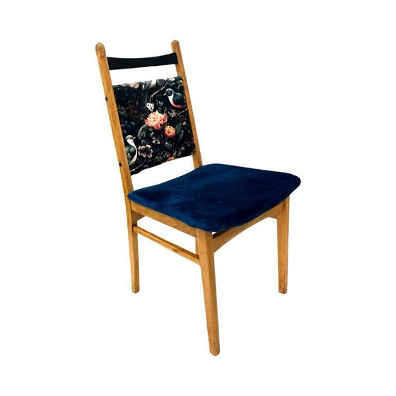 Image 1 of Sedia "Rostock" – VEB Vereinigte Sitzmöbelindustrie Neuhausen, DDR 1960–1975 | faggio | dopo la ristrutturazione