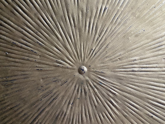 Image 1 of 3 tables basses/tables d'appoint dorées