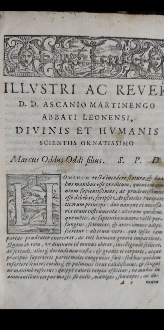 Oddo degli Oddi, Raro libro di medicina del 1574, Stampe artistiche, Carta, Bianco (foto 2 di 11)