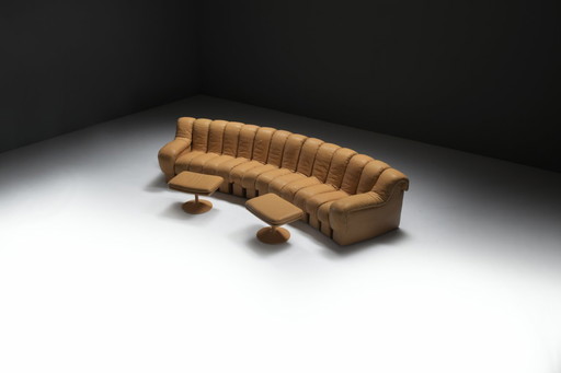 DS-600 Snake Tatzelwurm Sofa by Berger, Peduzzi-Riva, Ulrich, Vogt for De Sede Swiss