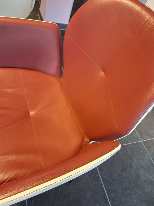 6x DESIGN Schalenstuhl Mobitec Mood 95 (M0712)