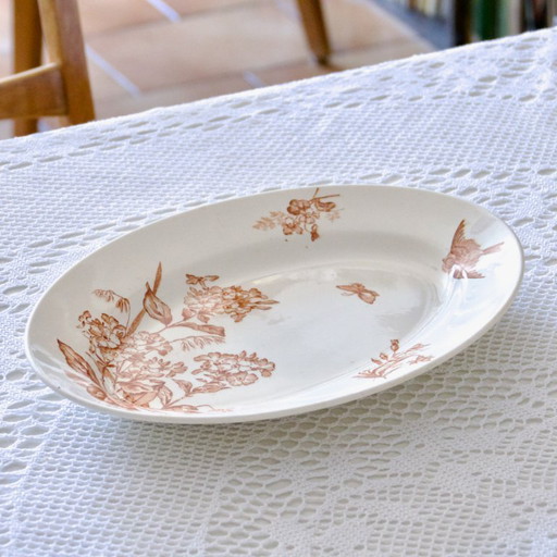 Grand Plat Ovale XIXe signé Longwy Terre De Fer Sépia "Botanique"