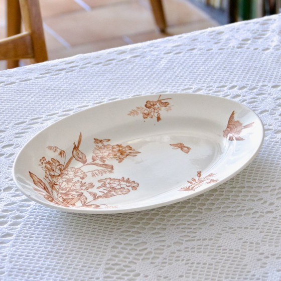 Image 1 of Grand Plat Ovale XIXe signé Longwy Terre De Fer Sépia "Botanique"