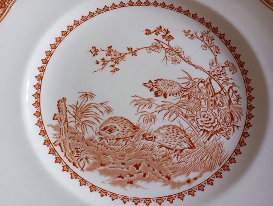 Image 1 of Furnivals „Quail“ englische flache Teller