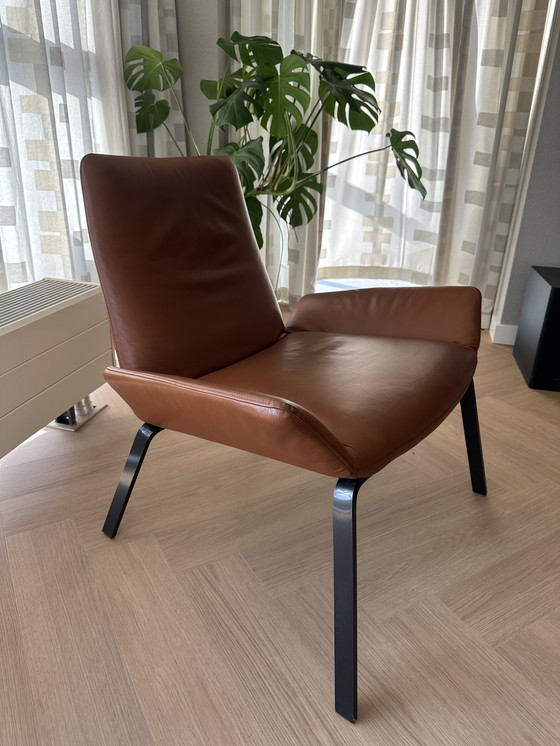 Image 1 of Ottime condizioni Design on Stock Poltrona Komio - Pelle cognac - NP: €1.829