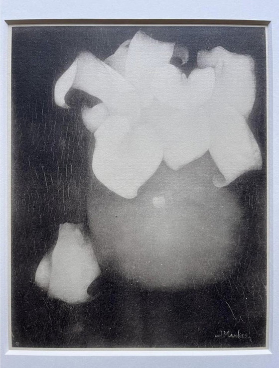 Image 1 of Jan Mankes 1889-1920 / Héliogravure originale Lys Calla 1923
