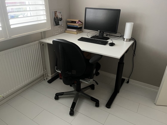 Image 1 of Scrivania Gispen 120x80