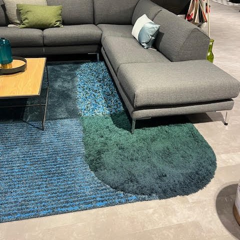 Image 1 of Leolux Portrait rug - 340x225