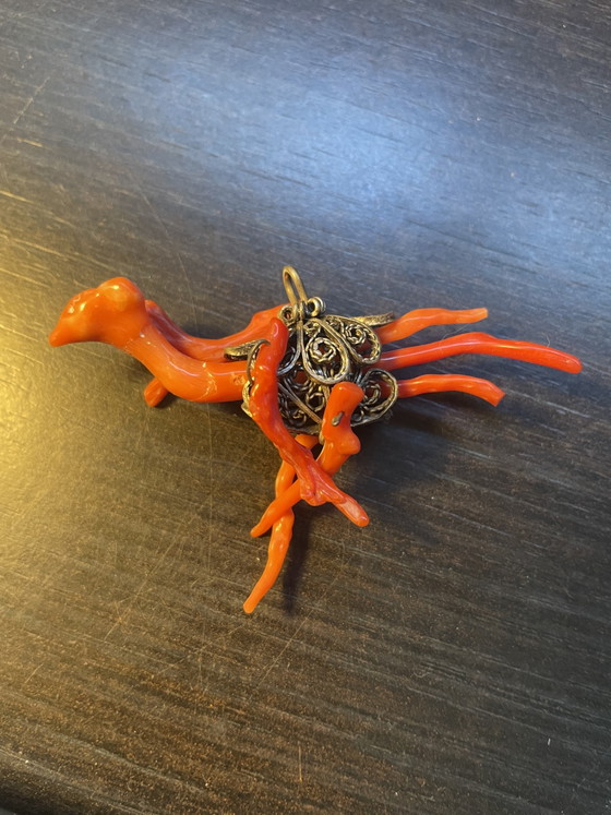 Image 1 of Vermietet mit rotem Korallenstraußen
