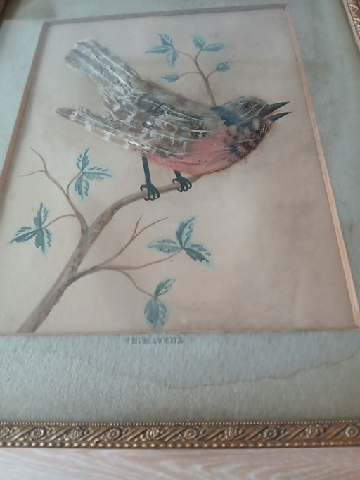 Antikes Gemälde mit Vogelfedern